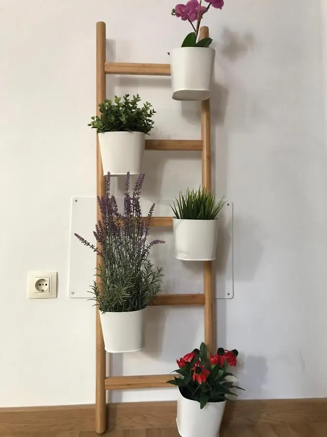 Urban Center Dream Apartment Malaga